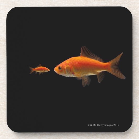 Dessous-de-verre Poisson rouge (Devant)