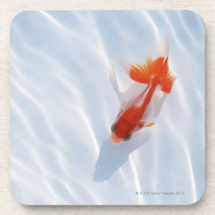 Dessous-de-verre Poisson rouge 5