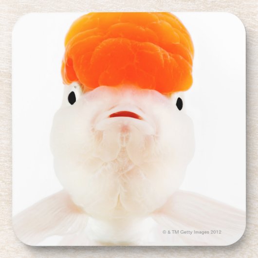 Dessous-de-verre Poisson rouge de lionhead de policier militaire (Devant)