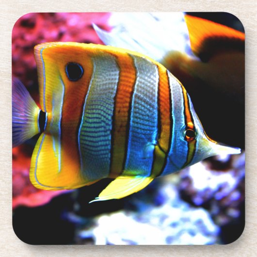 Dessous-de-verre Poissons (Devant)