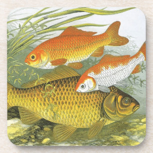 Dessous-de-verre Poissons rouges Koi aquatiques vintage, vie marine