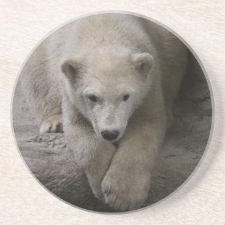 dessous de verre polaires