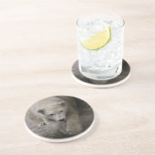 dessous de verre polaires (Côté)