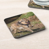 Dessous-de-verre Pomeranian fonctionnant avec le harnais dessus (Côté gauche)