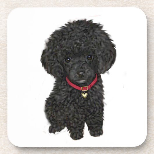 Dessous-de-verre Poodle miniature ou jouet - Noir 1 (Devant)