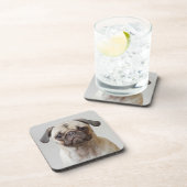 Dessous-de-verre Portrait carlin (Côté Droit)