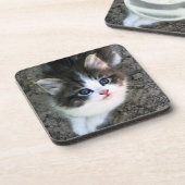 Dessous-de-verre Portrait CUTE Kitten (Côté gauche)