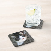 Dessous-de-verre Portrait CUTE Kitten (Côté Droit)