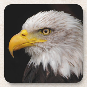 Dessous-de-verre Portrait d'aigle