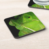 Dessous-de-verre Portrait de caméléon à cou plat (Côté gauche)