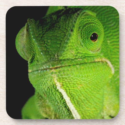 Dessous-de-verre Portrait de caméléon à cou plat (Devant)