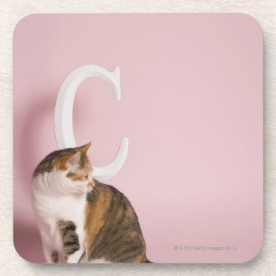 Dessous-de-verre Portrait de chat