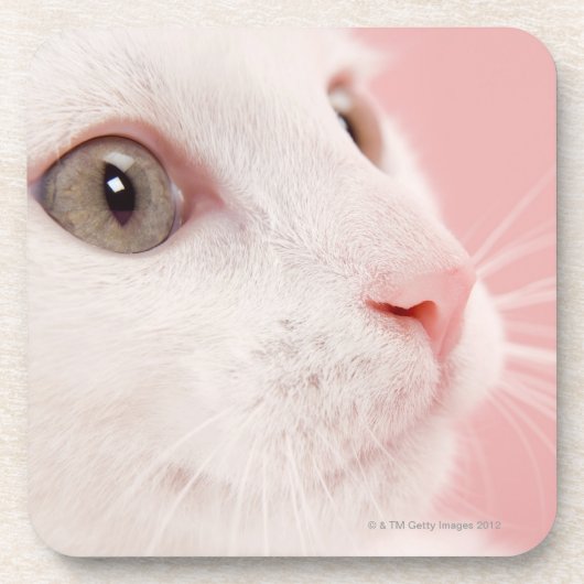 Dessous-de-verre Portrait de chat (Devant)