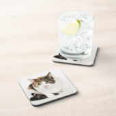 Dessous-de-verre Portrait de chat de calicot (Côté Droit)