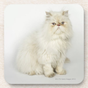Dessous-de-verre Portrait de chat persan
