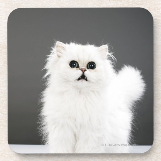 Dessous-de-verre Portrait de chaton (Devant)