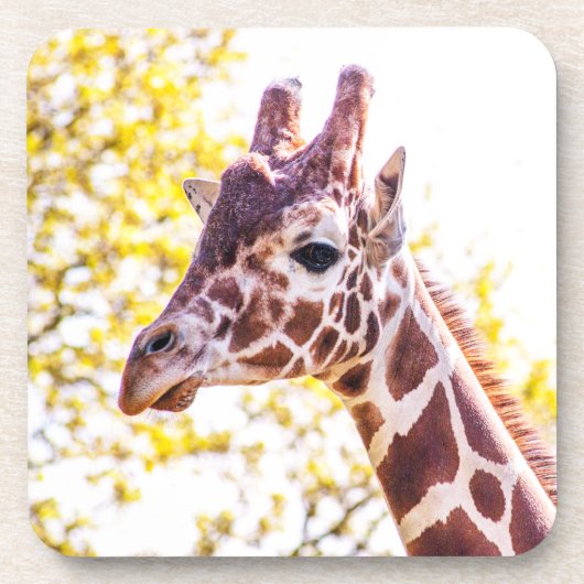 Dessous-de-verre Portrait de Giraffe (Devant)