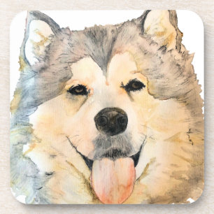 Dessous-de-verre Portrait de Malamute d'Alaska