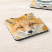 Dessous-de-verre Portrait de renard roux (Côté gauche)
