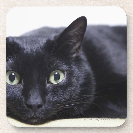 Dessous-de-verre Portrait d'un chat (Devant)