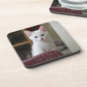 Dessous-de-verre Portrait d'un chaton blanc, Suède (Côté gauche)