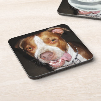 Dessous-de-verre Portrait idiot de Pitbull