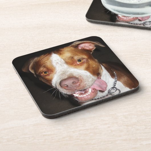 Dessous-de-verre Portrait idiot de Pitbull (Côté gauche)