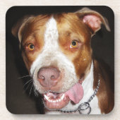 Dessous-de-verre Portrait idiot de Pitbull (Devant)
