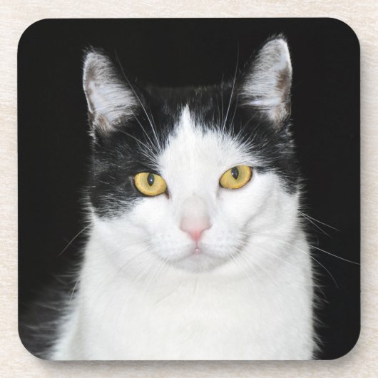 Dessous-de-verre Portrait noir et blanc de chat (Devant)