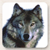 Dessous-de-verre Portrait Wolf (Devant)