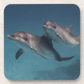 Dessous-de-verre Pose espiègle (Devant)