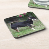 Dessous-de-verre Position aux cheveux courts de chiwawa (Côté gauche)