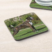 Dessous-de-verre Position Brindle d'exposition canine de boxeur (Côté gauche)