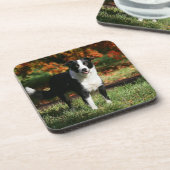 Dessous-de-verre Position d'automne de border collie (Côté gauche)
