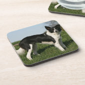 Dessous-de-verre Position de border collie (Côté gauche)