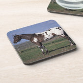 Dessous-de-verre Position de cheval d'Appaloosa (Côté gauche)