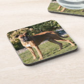 Dessous-de-verre Position de chien de boxeur de faon (Côté gauche)