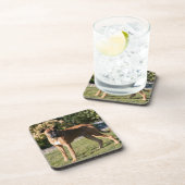 Dessous-de-verre Position de chien de boxeur de faon (Côté Droit)