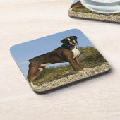 Dessous-de-verre Position d'exposition canine de boxeur (Côté gauche)