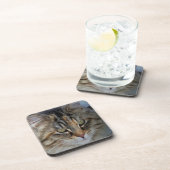 Dessous-de-verre Potrait du chat Maine Coon (Côté Droit)