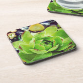 Dessous-de-verre Poules et poules (Côté gauche)