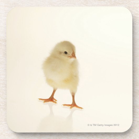 Dessous-de-verre Poulet de bébé (Devant)