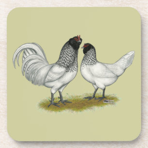 Dessous-de-verre Poulets à la barbe de hibou néerlandais