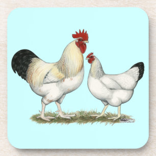 Dessous-de-verre Poulets de la rivière Indian