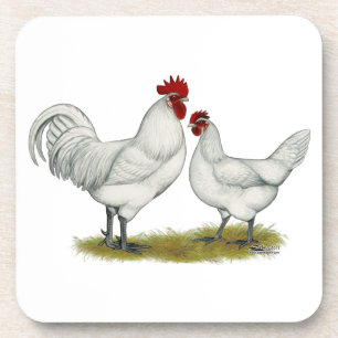 Dessous-de-verre Poulets de pieds bleus