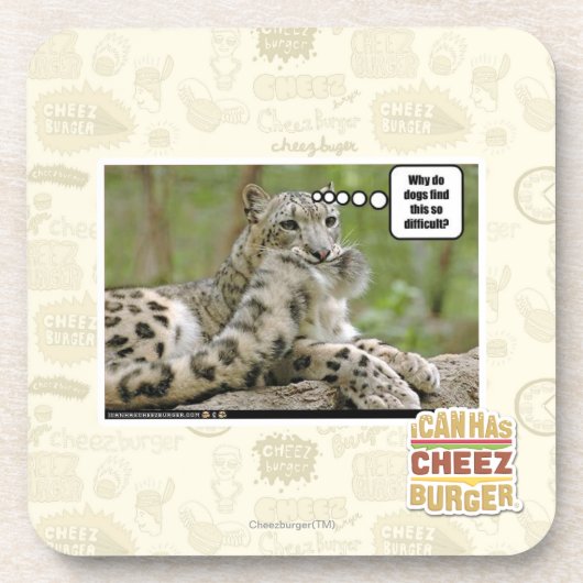 Dessous-de-verre Pourquoi les chiens trouvent-ils ceci si difficile (Devant)