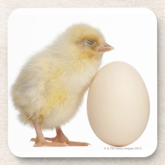 Dessous-de-verre Poussin avec l'oeuf (2 jours de) (Devant)