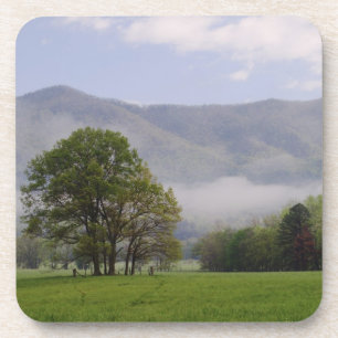 Dessous-de-verre Prairie brumeuse et Rich Mountain, Cades Cove,