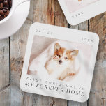 Dessous-de-verre Premier Noël de l'animal de compagnie dans Forever<br><div class="desc">Design est composé de typographie chic moderne avec sans serif et serif police. Ajoutez une photo personnalisée de l'animal de compagnie adopté et de l'année.</div>