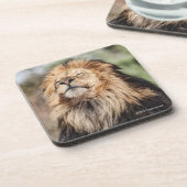 Dessous-de-verre Prendre un bain de soleil masculin de lion (Côté gauche)